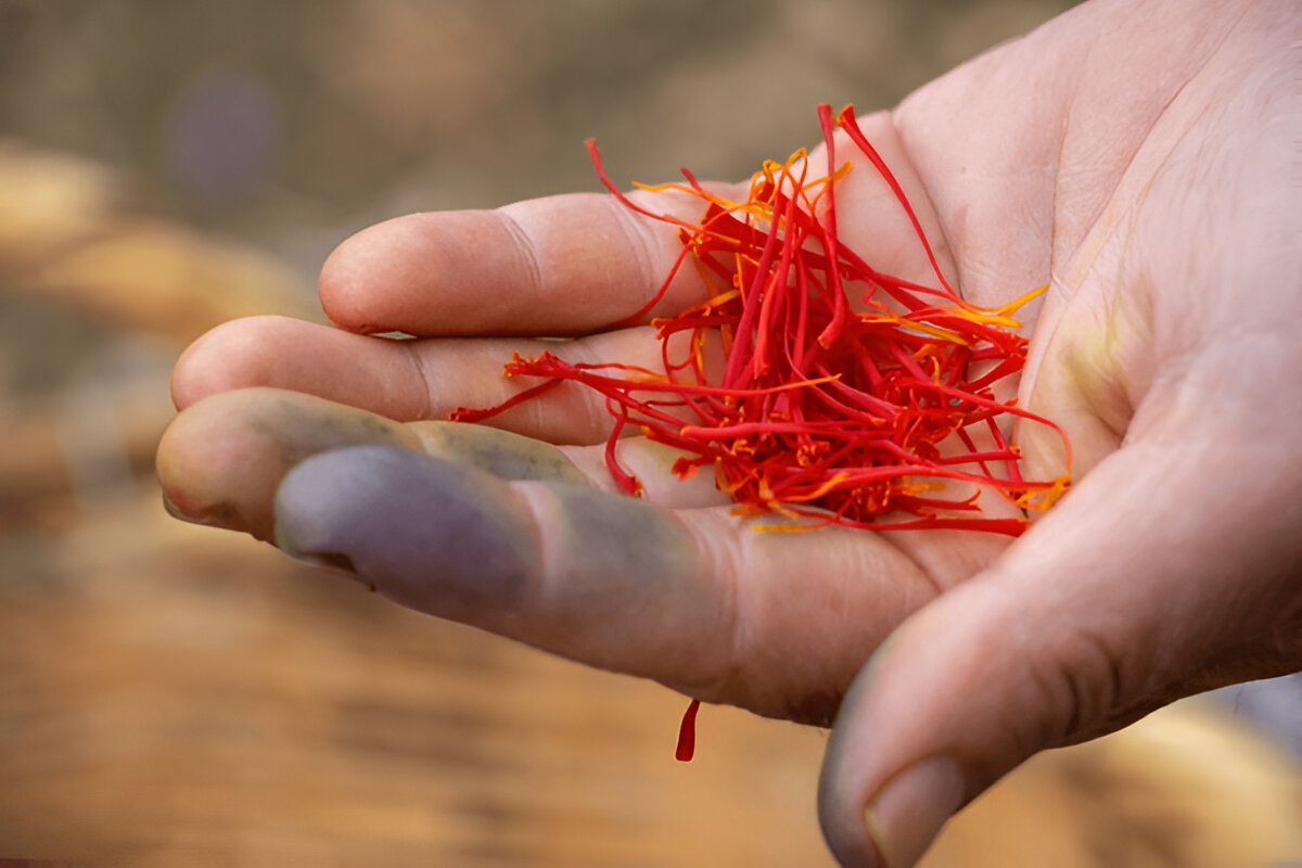 Regional Saffron Price Analyses